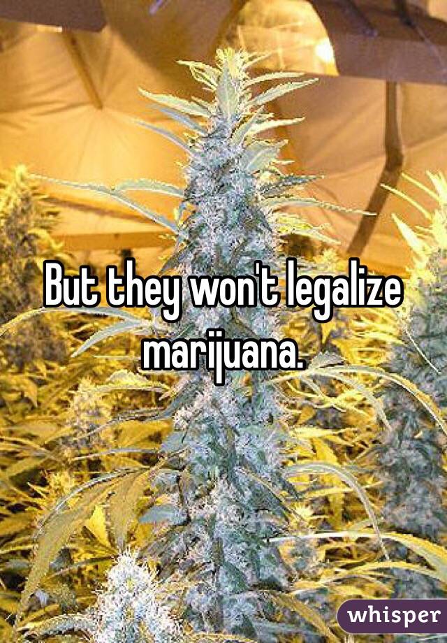 But they won't legalize marijuana. 