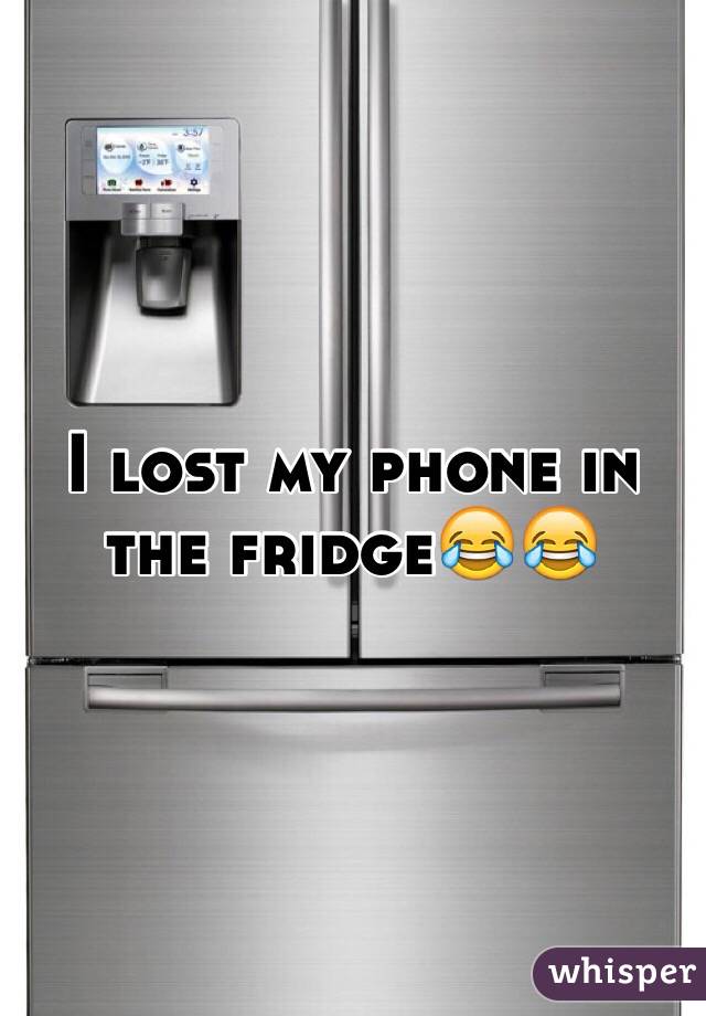 I lost my phone in the fridge😂😂