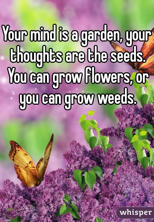 Your mind is a garden, your thoughts are the seeds. You can grow flowers, or you can grow weeds.