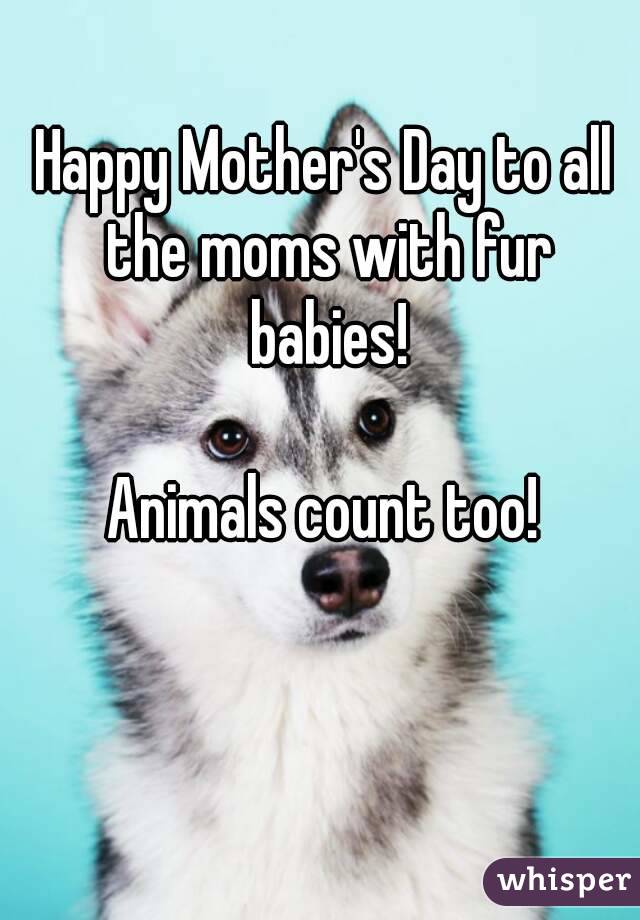 Happy Mother's Day to all the moms with fur babies!

Animals count too!