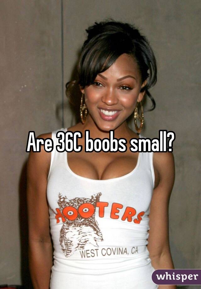 Are 36C boobs small?