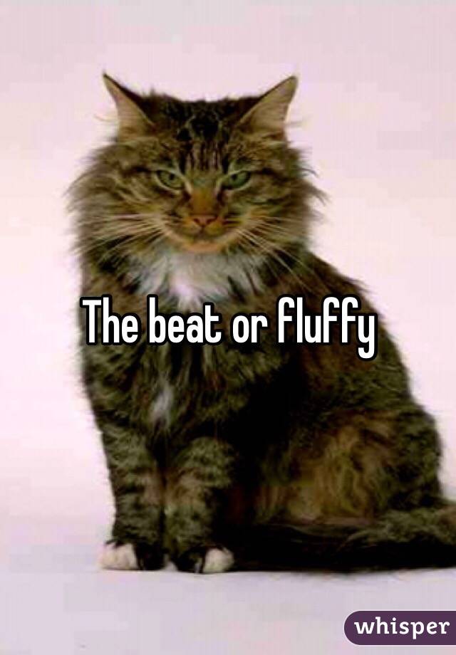 The beat or fluffy 