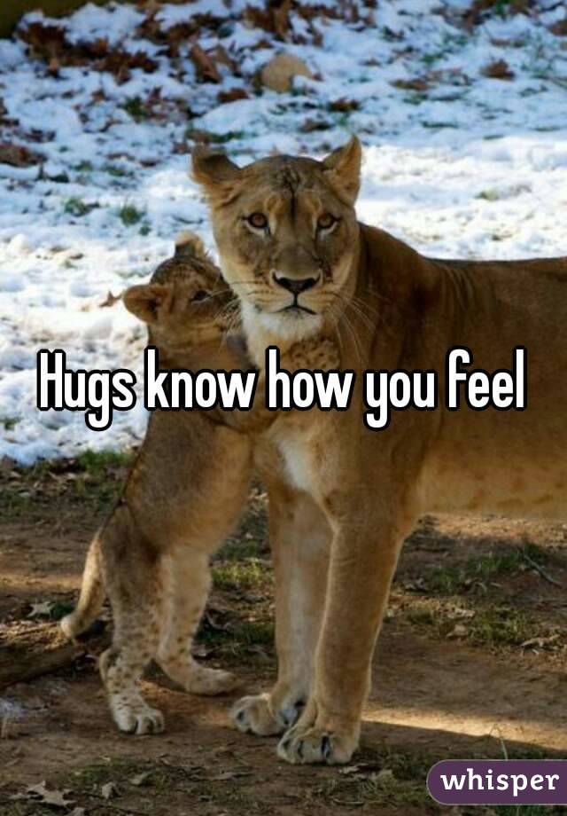 Hugs know how you feel