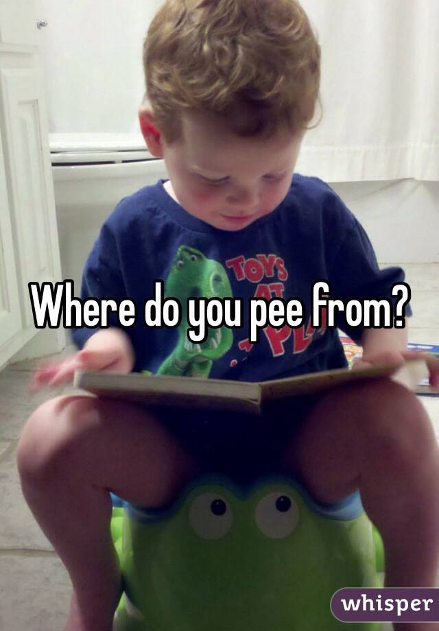 Where do you pee from?