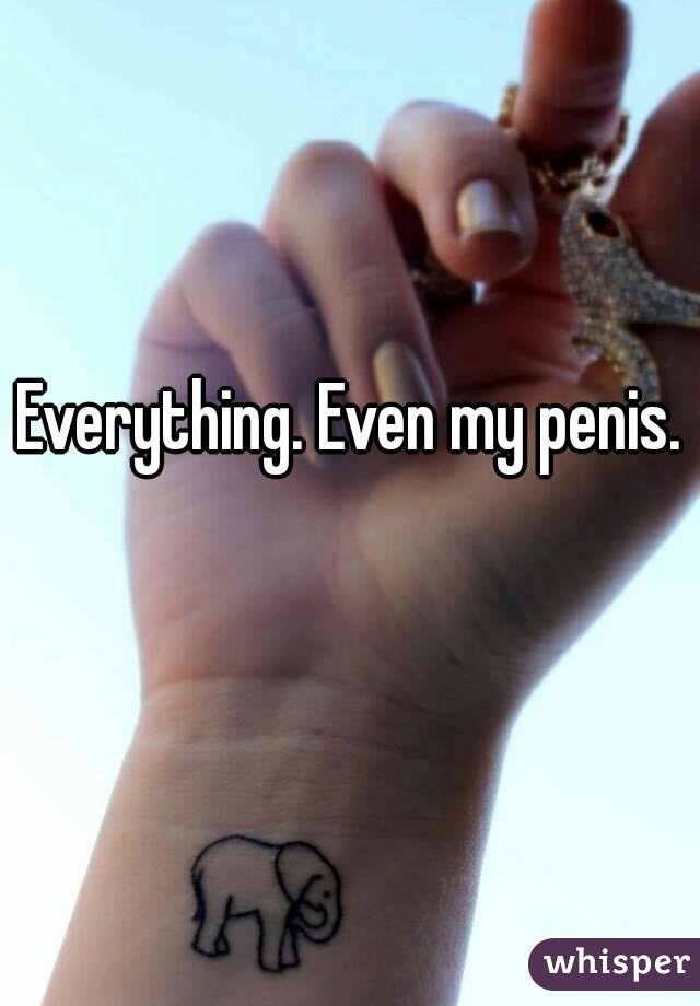 Everything. Even my penis. 
