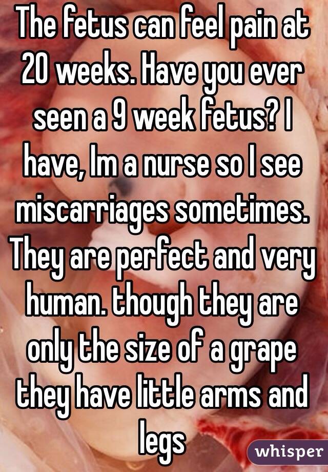 The fetus can feel pain at 20 weeks. Have you ever seen a 9 week fetus? I have, Im a nurse so I see miscarriages sometimes. They are perfect and very human. though they are only the size of a grape they have little arms and legs