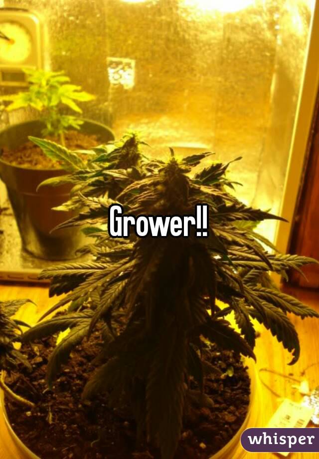 Grower!!