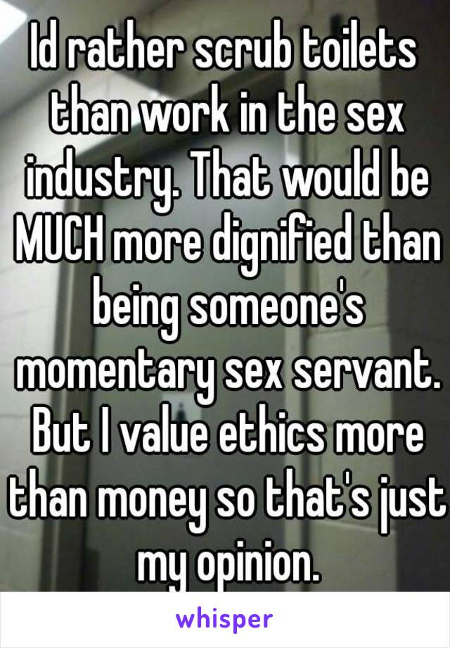 Id rather scrub toilets than work in the sex industry. That would be MUCH more dignified than being someone's momentary sex servant. But I value ethics more than money so that's just my opinion.