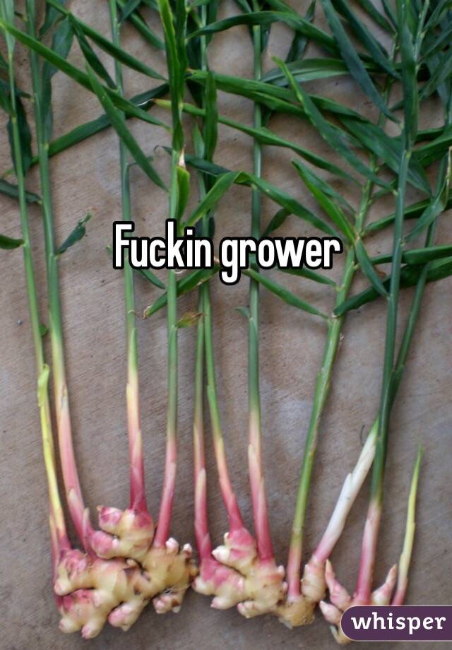 Fuckin grower