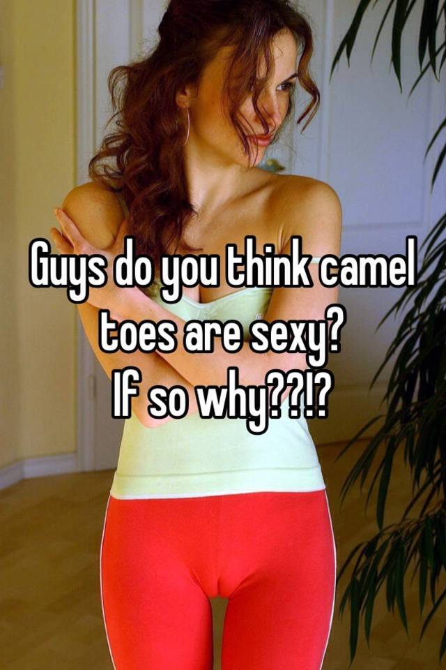 Guys: Do You Think Camel Toes Are Sexy Or Disgusting? - Sexuality