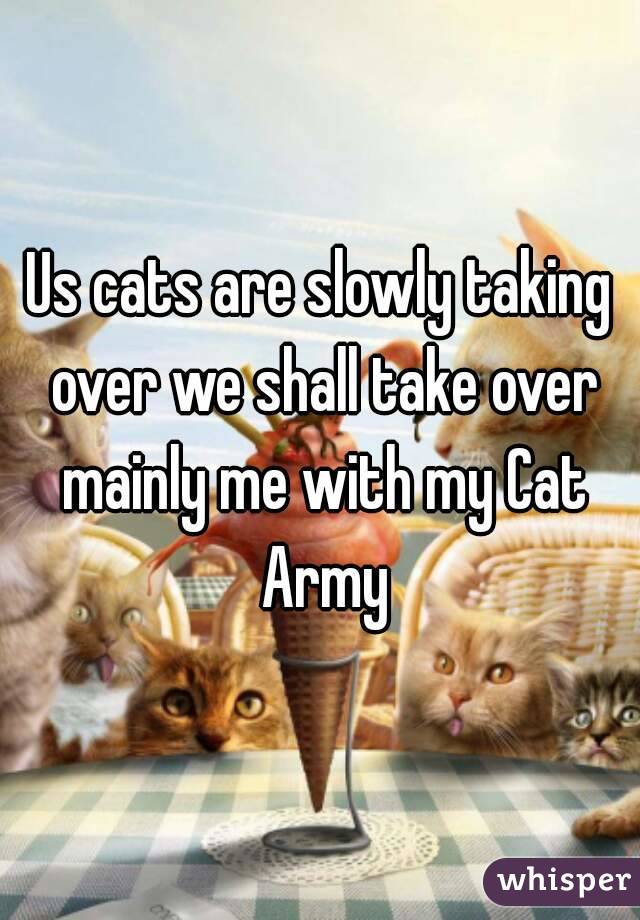 Us cats are slowly taking over we shall take over mainly me with my Cat Army
