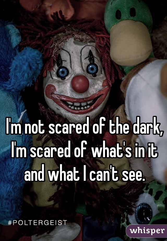 I'm not scared of the dark, I'm scared of what's in it and what I can't see.
