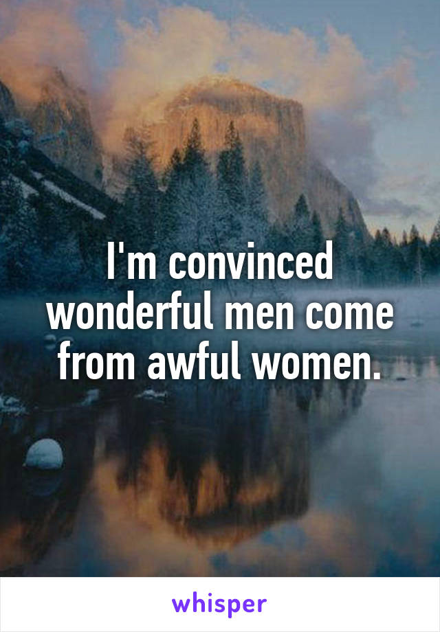 I'm convinced wonderful men come from awful women.