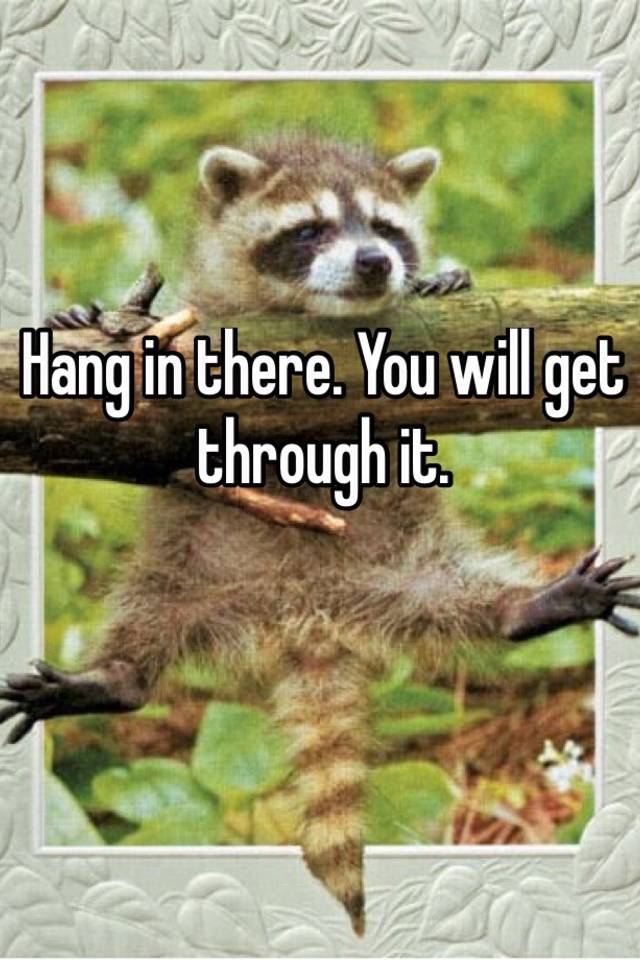 hang-in-there-you-will-get-through-it