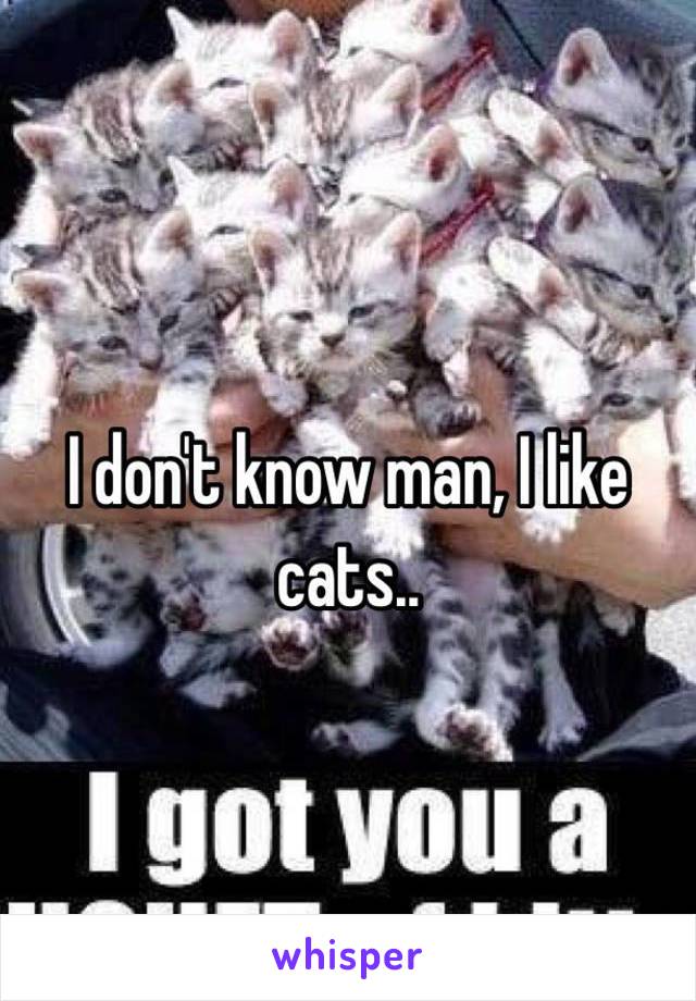 I don't know man, I like cats..