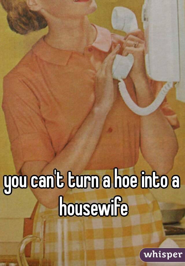 you can't turn a hoe into a housewife