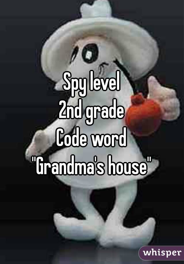 Spy level
2nd grade
Code word
"Grandma's house"