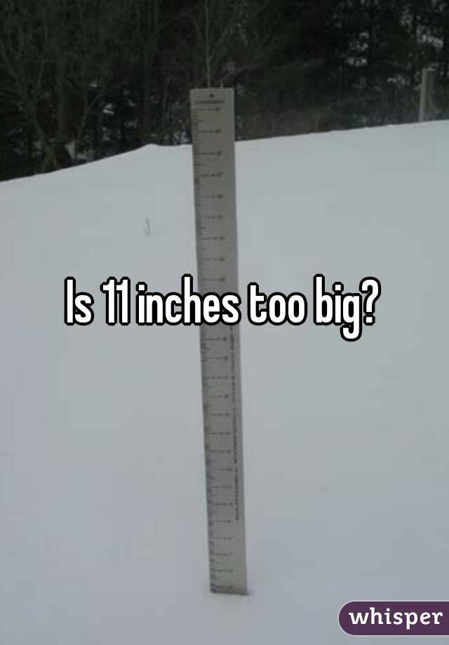 Is 11 inches too big?