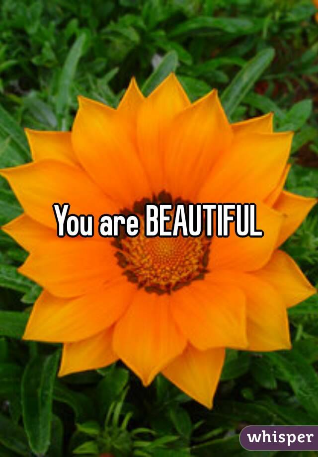 You are BEAUTIFUL