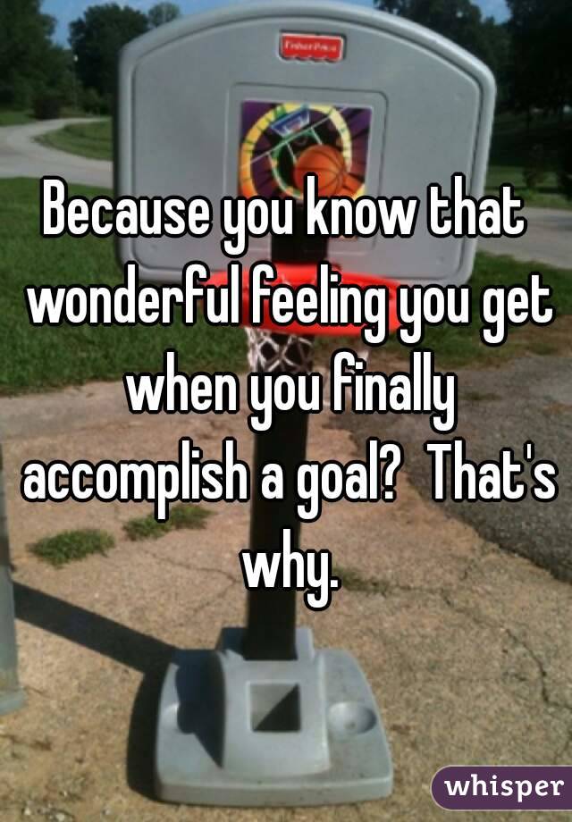 Because you know that wonderful feeling you get when you finally accomplish a goal?  That's why.