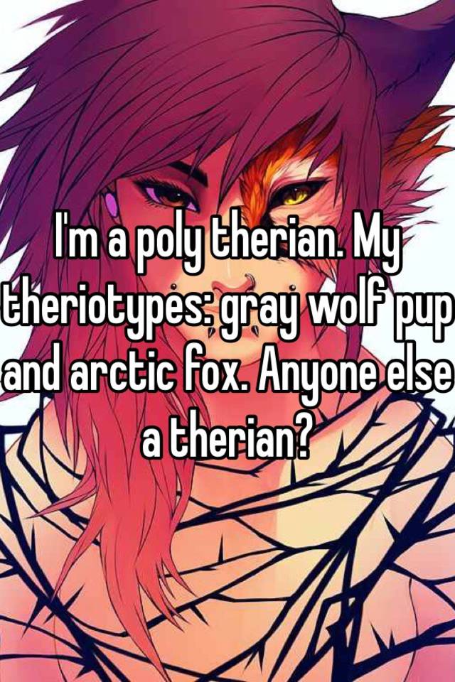 I'm a poly therian. My theriotypes: gray wolf pup and arctic fox