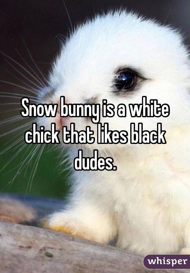 Snow bunny is a white chick that likes black dudes. 