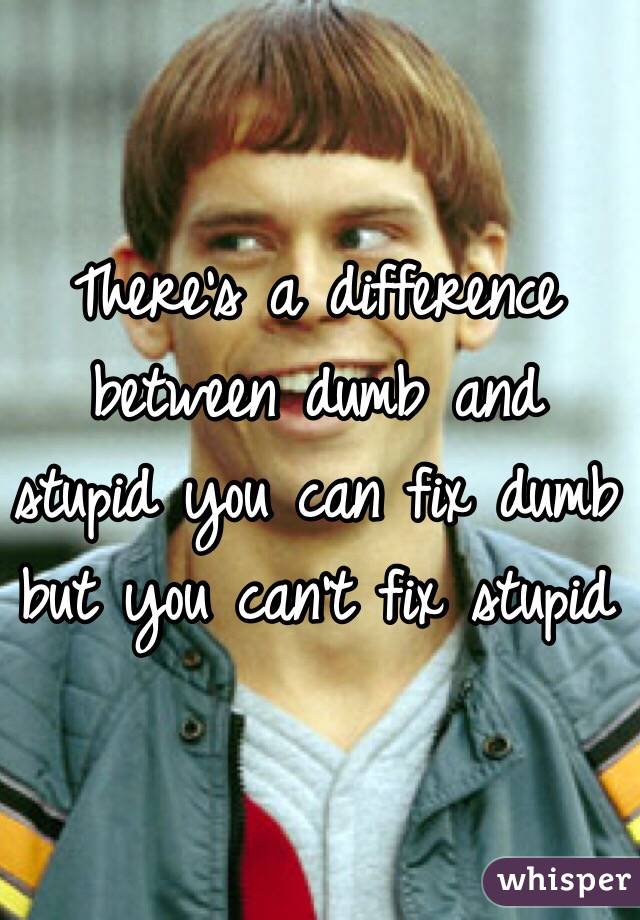 There's a difference between dumb and stupid you can fix dumb but you can't fix stupid 