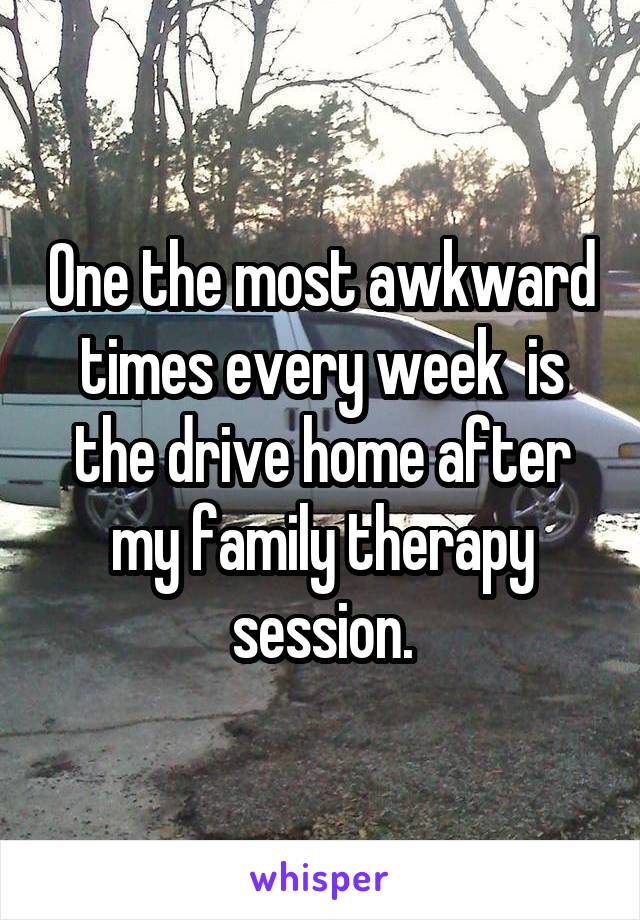 One the most awkward times every week  is the drive home after my family therapy session.