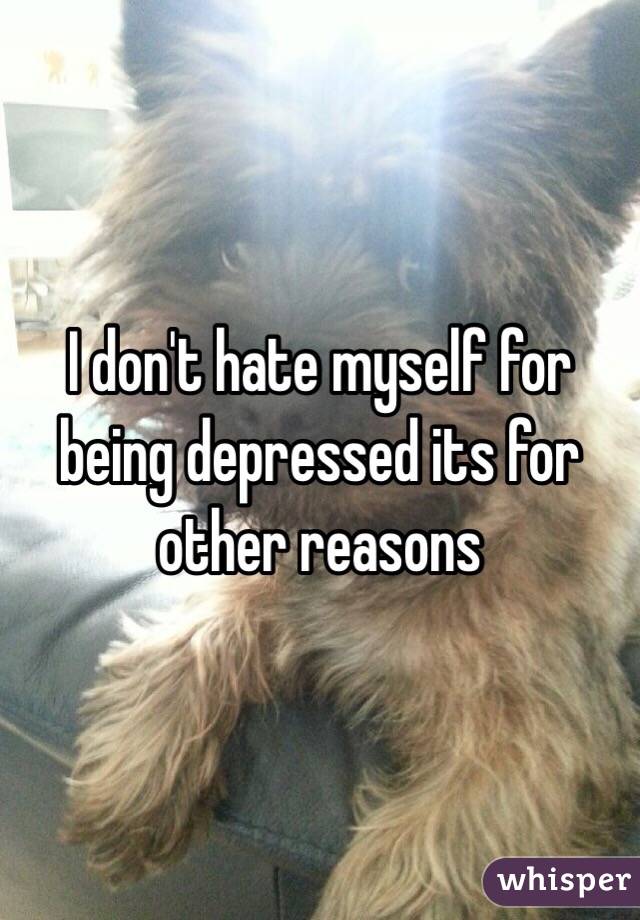 I don't hate myself for being depressed its for other reasons 