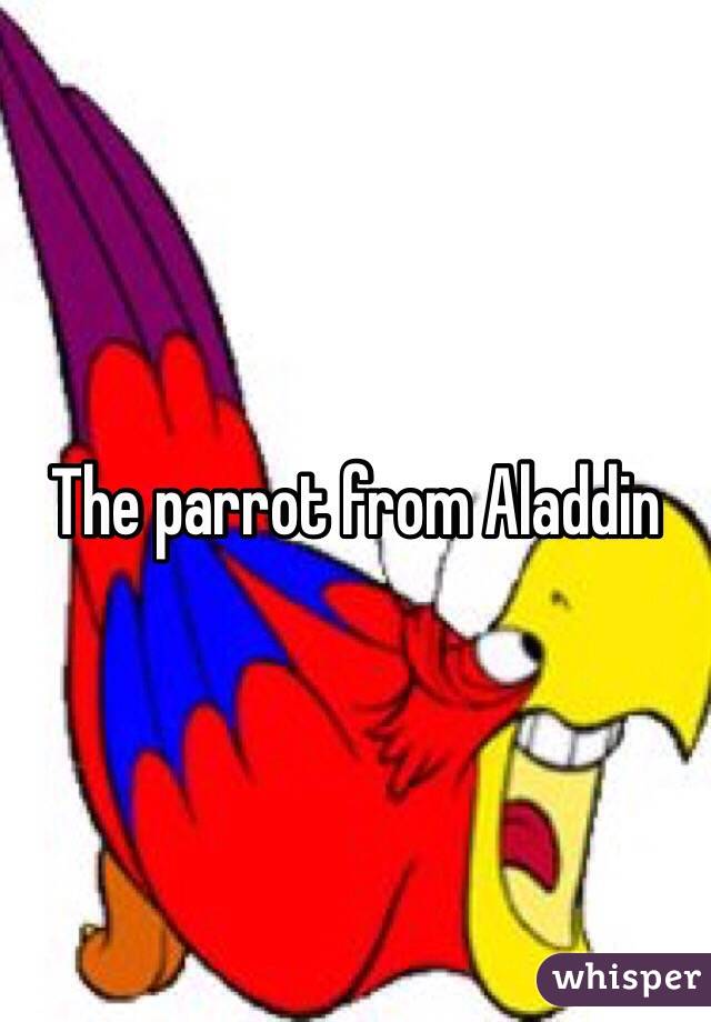 The parrot from Aladdin 