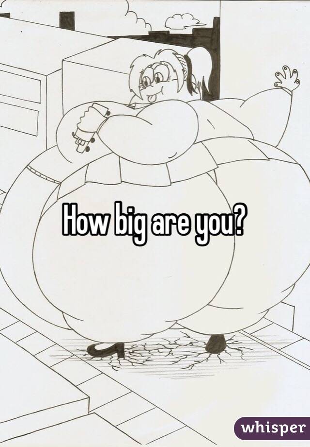 How big are you? 