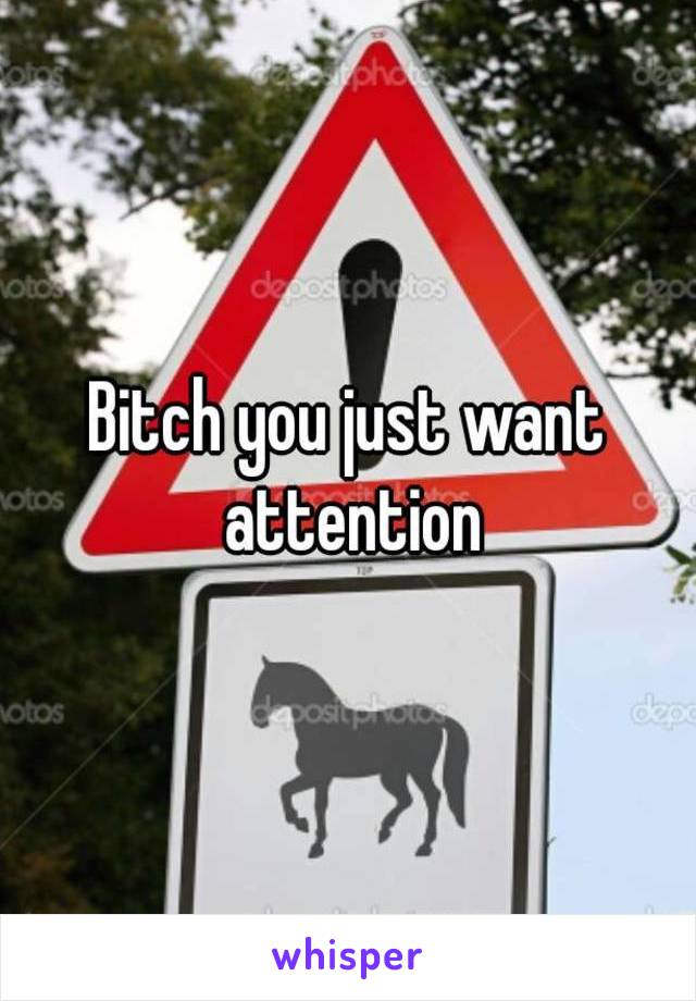 Bitch you just want attention