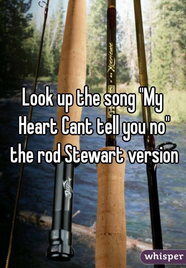 Look up the song "My Heart Cant tell you no" the rod Stewart version