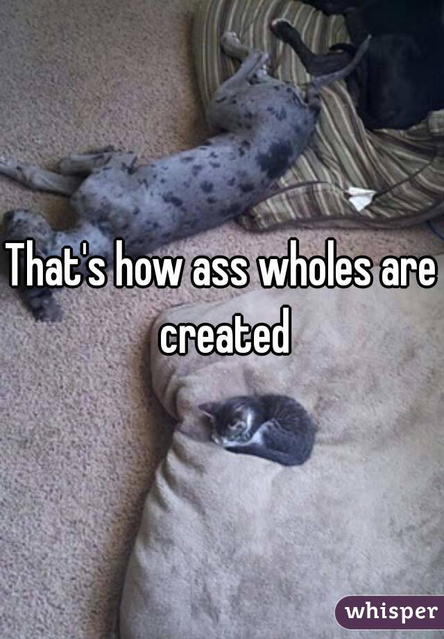 That's how ass wholes are created
