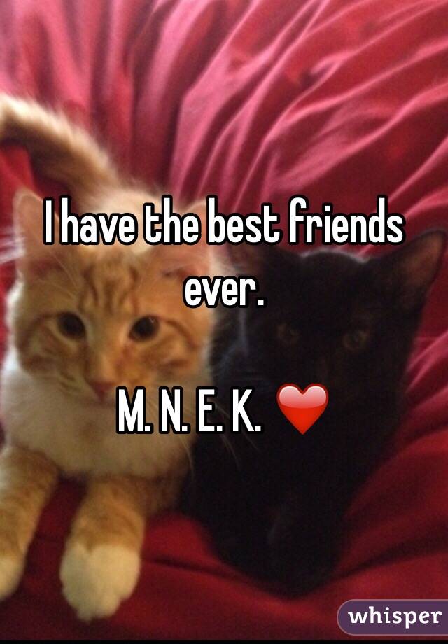 I have the best friends ever.

M. N. E. K. ❤️