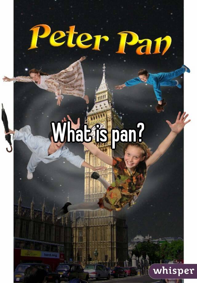 What is pan?