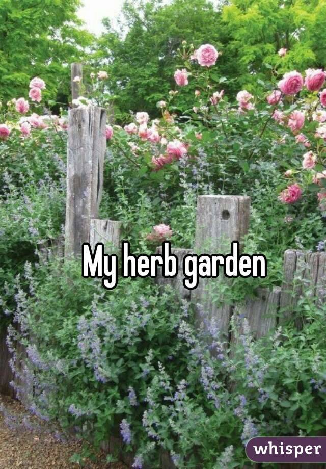 My herb garden 