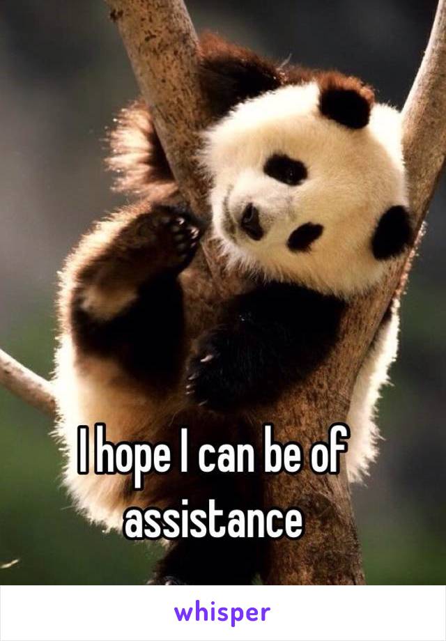 I hope I can be of assistance
