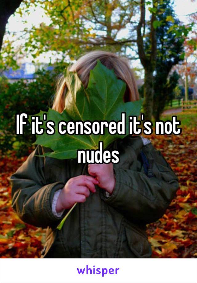 If it's censored it's not nudes 