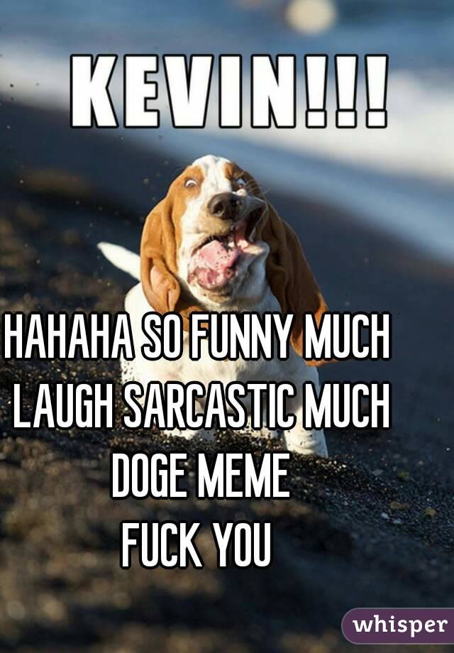 HAHAHA SO FUNNY MUCH LAUGH SARCASTIC MUCH DOGE MEME
FUCK YOU