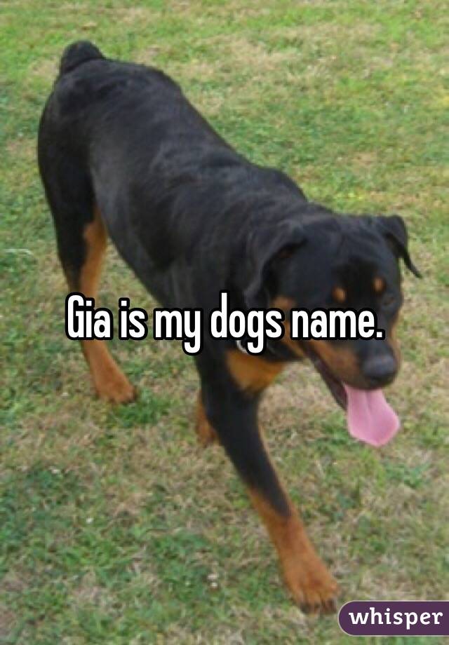 Gia is my dogs name. 