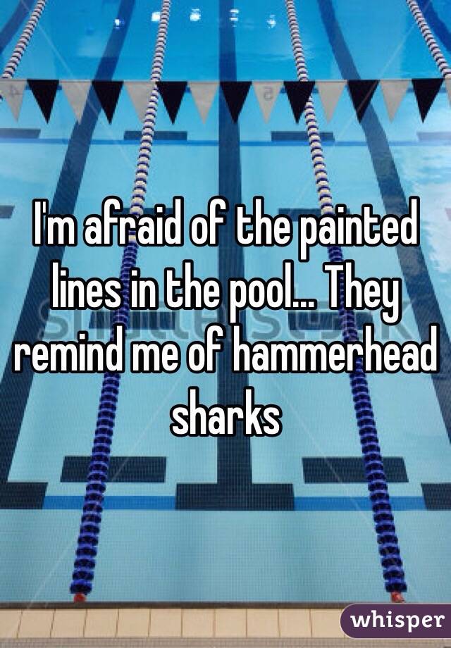 I'm afraid of the painted lines in the pool... They remind me of hammerhead sharks