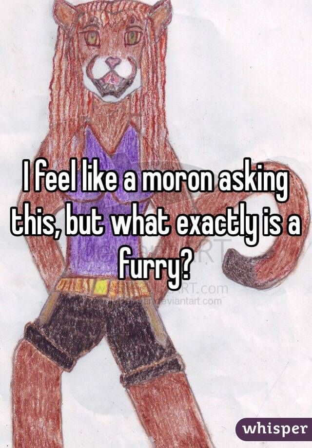 I feel like a moron asking this, but what exactly is a furry? 