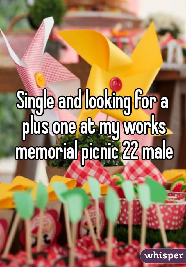Single and looking for a plus one at my works memorial picnic 22 male