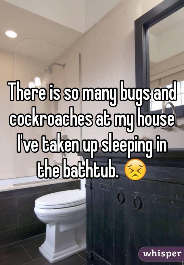 There is so many bugs and cockroaches at my house I've taken up sleeping in the bathtub. 😣