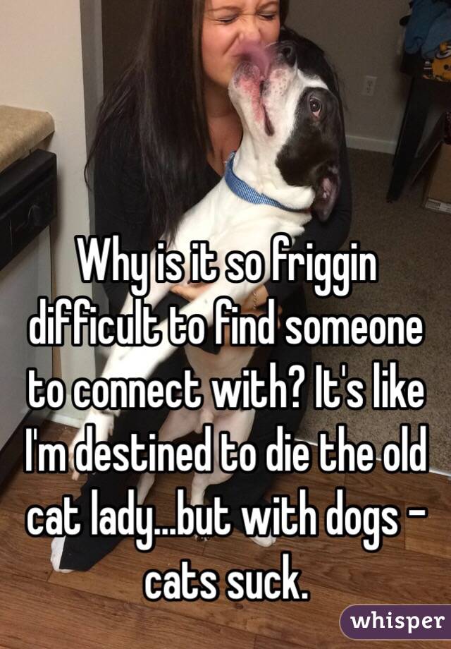 Why is it so friggin difficult to find someone to connect with? It's like I'm destined to die the old cat lady...but with dogs - cats suck. 