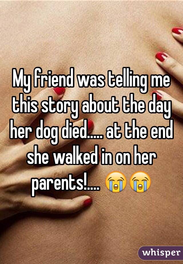 My friend was telling me this story about the day her dog died..... at the end she walked in on her parents!.... 😭😭