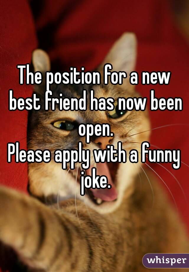 The position for a new best friend has now been open.
Please apply with a funny joke.