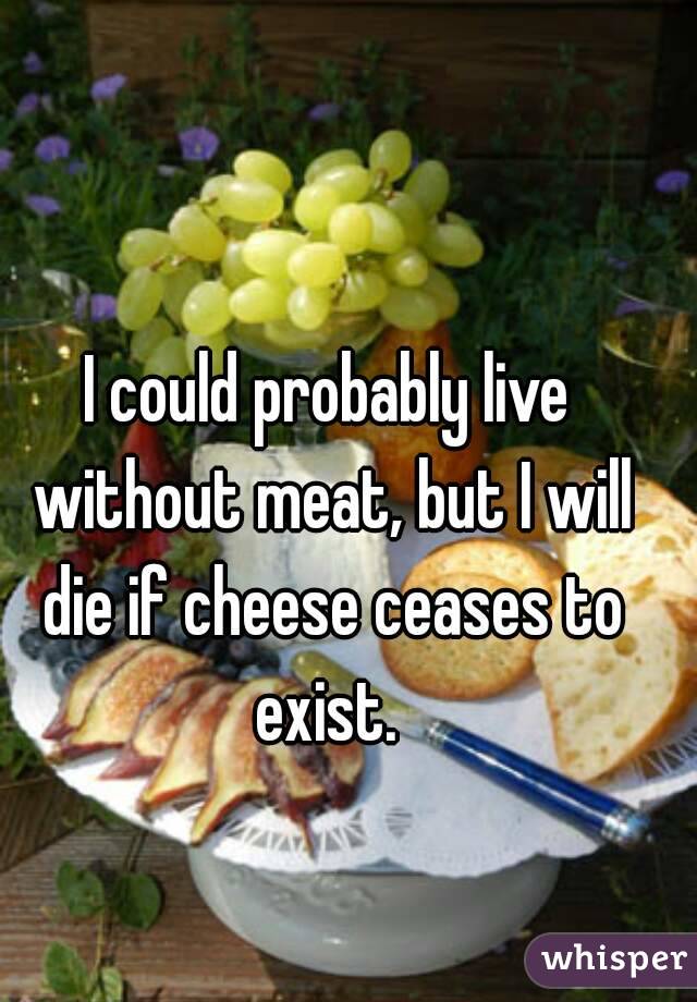 I could probably live without meat, but I will die if cheese ceases to exist. 