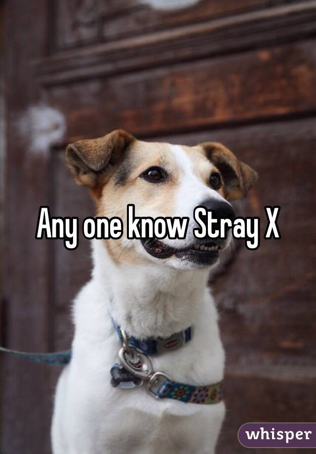 Any one know Stray X